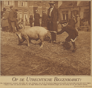 871127 Afbeelding van een jongetje dat een varken aan z'n staart trekt op de biggenmarkt op het Jacobskerkhof in Wijk C ...